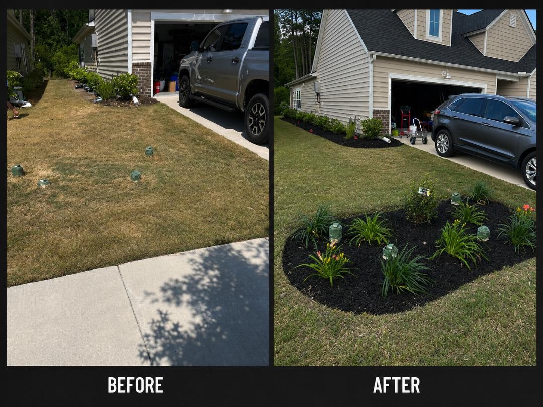 Locals Street — before and after, east elevation planting