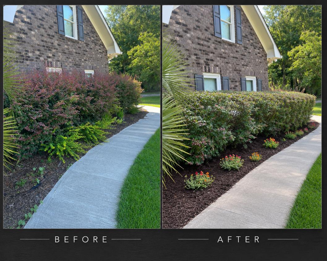 Napoli Lane — foundation bed before and after