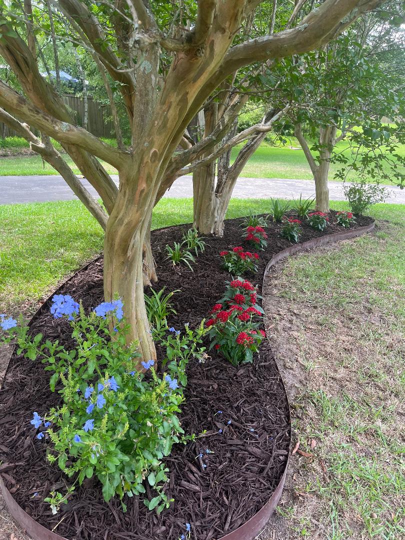 Napoli Lane — finished planting detail