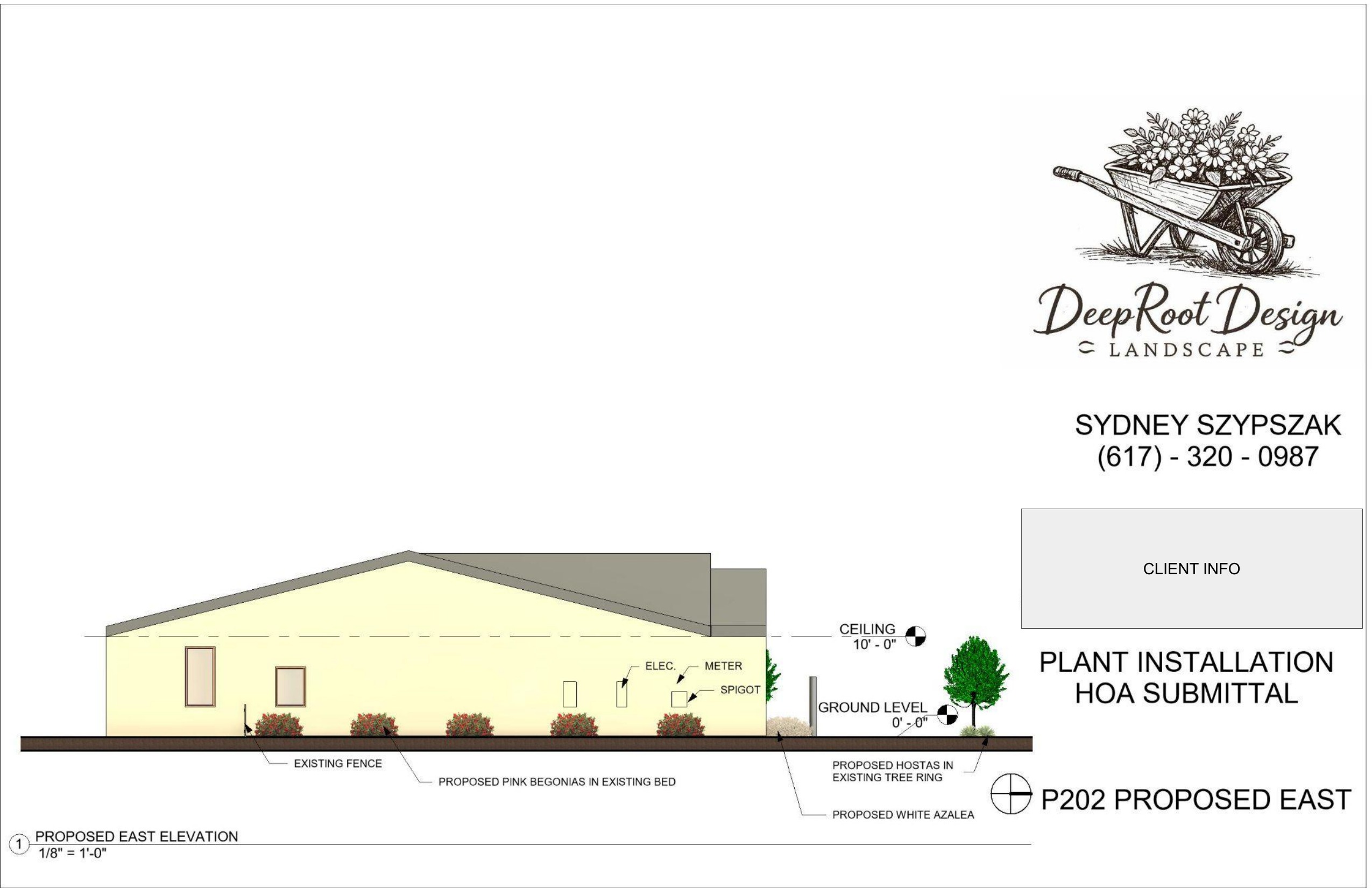 P202 Proposed east elevation