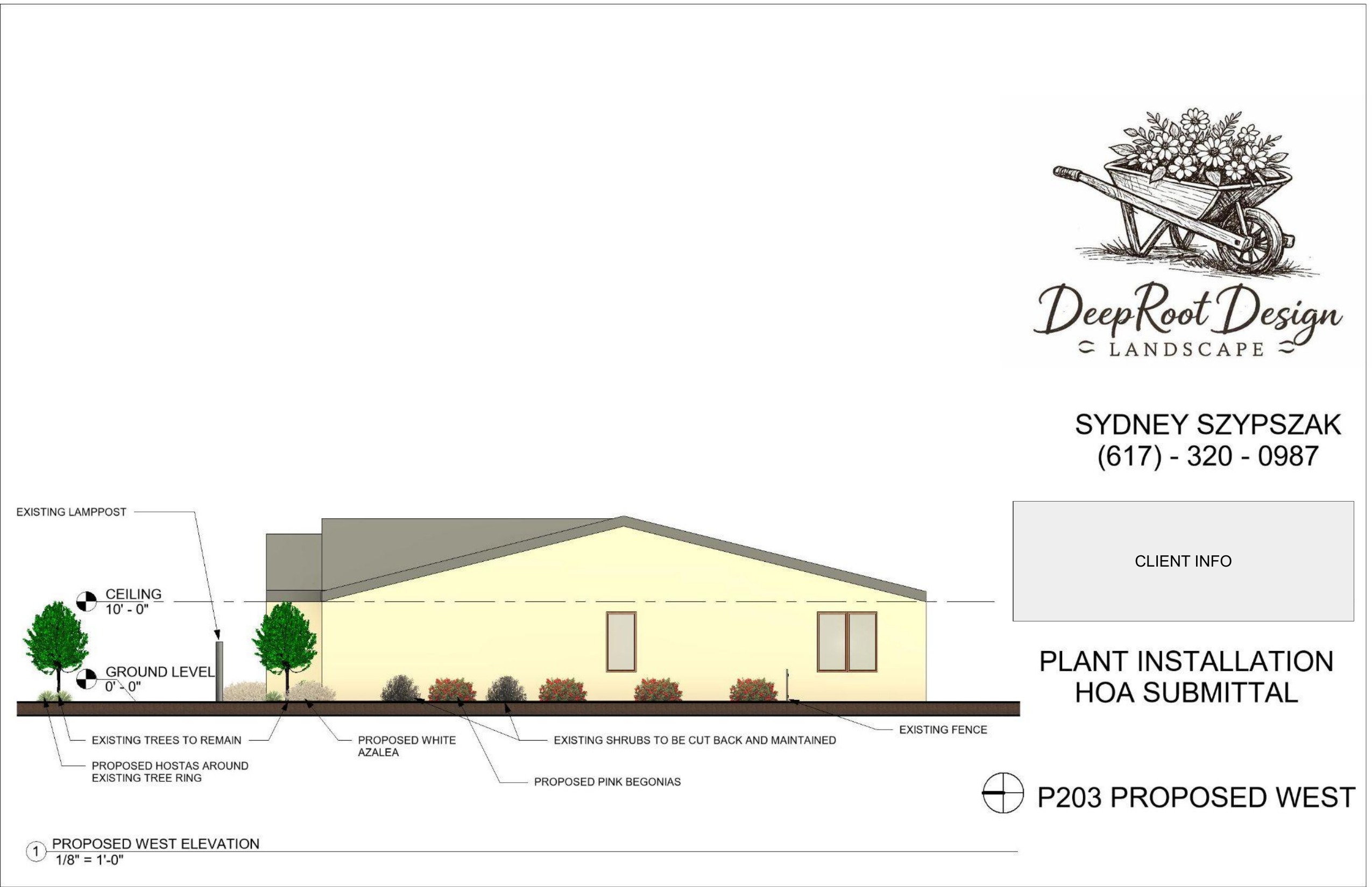 P203 Proposed west elevation