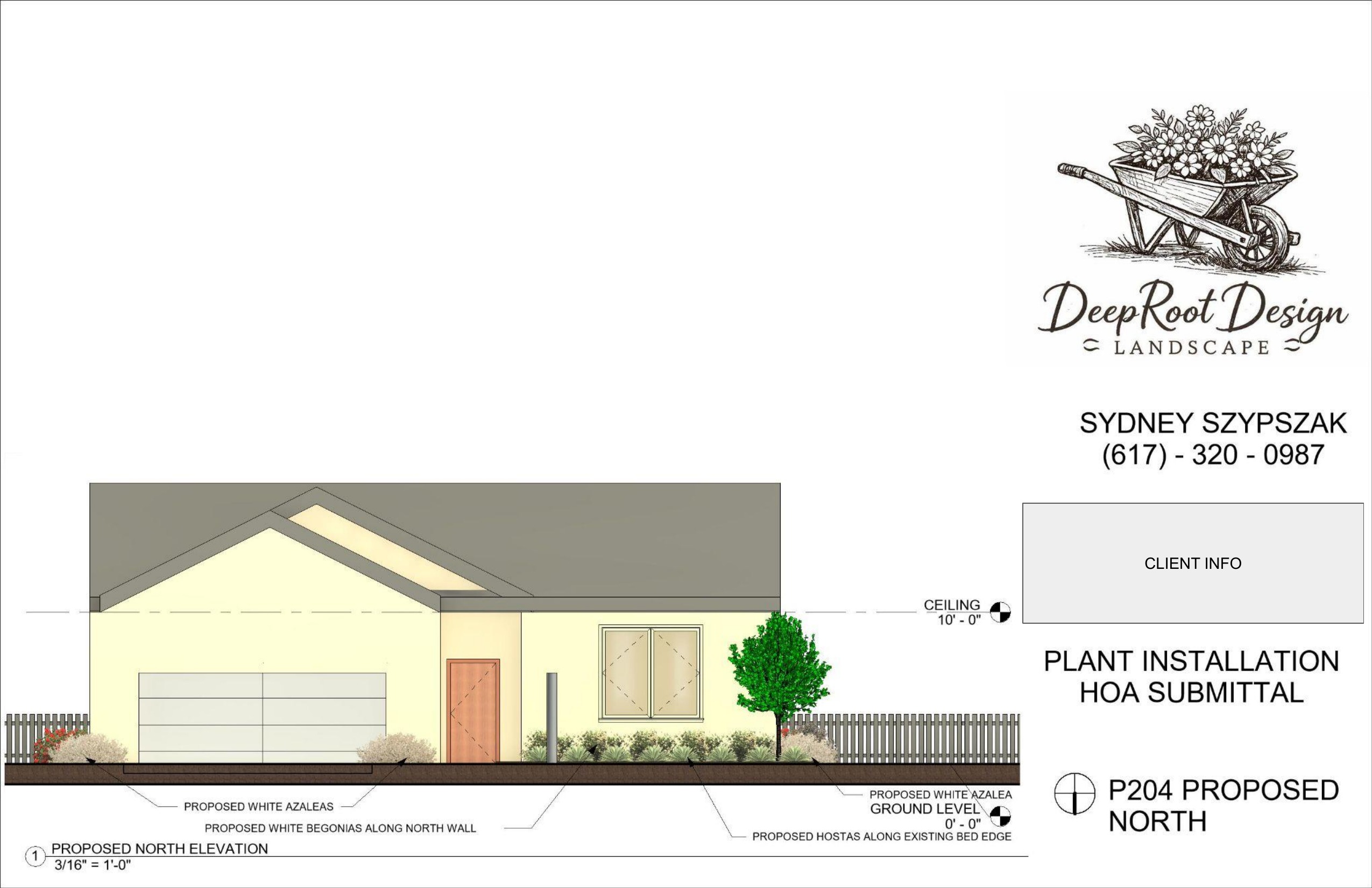 P204 Proposed north elevation