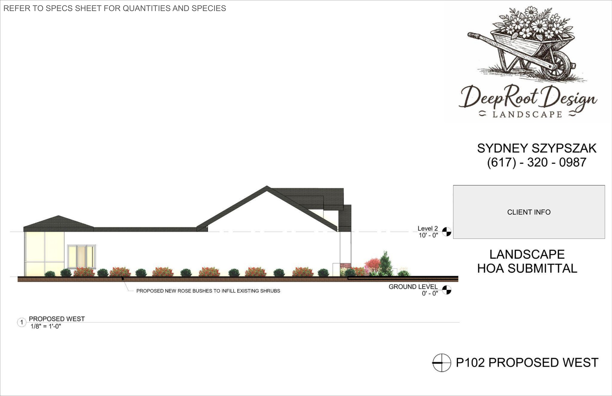 P102 Proposed west elevation